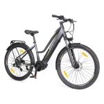 confortable electric bike
