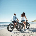 electric bike for families