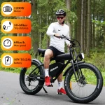 quality electric bike
