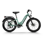 electric bike with 750w motor