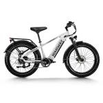 high-performance electric bike