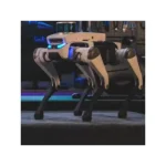 robotic perception system