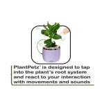 PlantPetz - Interactive Robotic Pot for Real Plants - Image 4