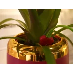 smart flowerpot