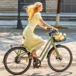 user-friendly electric bike