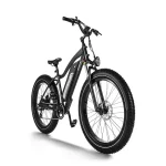 fat tire electric bike