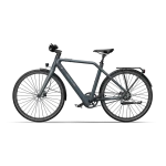 hydraulic disc brake electric bike