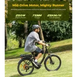 electric bike with 250w motor