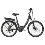 electric bike with hydraulic brakes