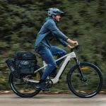 electric bike with a high payload