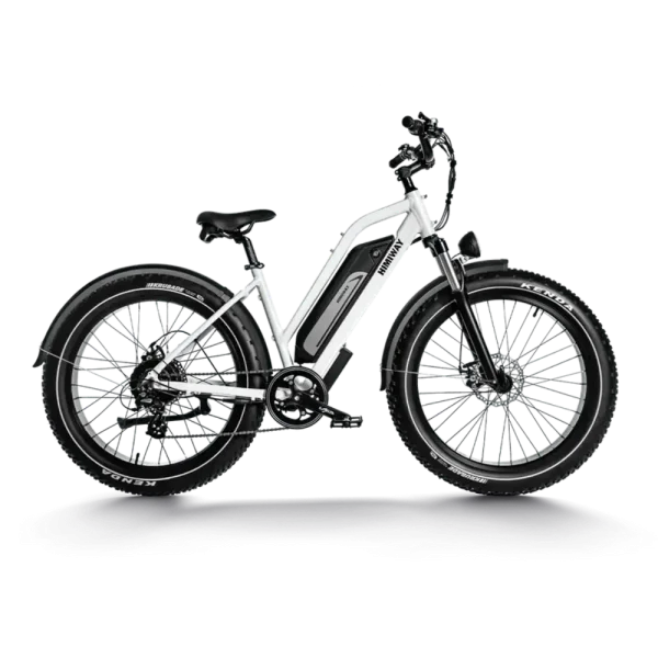 fat tire electric bike cruiser