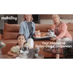 interactive husky robot