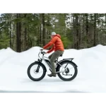all-terrain electric bike