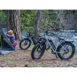 urban and off-road electric bike