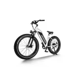 high payload capacity electric bike