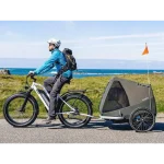 long-range electric bike battery