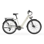commuter electric bike