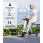 portable electric tricycle