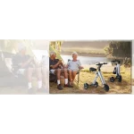 3 wheel electric trike