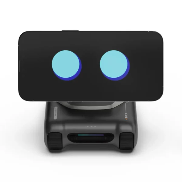 looi smart robot