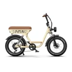 womens electric bike