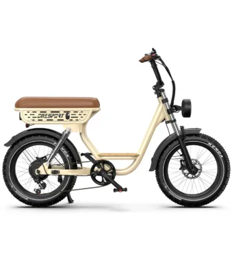 womens electric bike