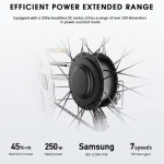 shimano 7-speed cruiser