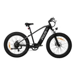 fat tire electric bike