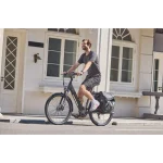 eco friendly transport