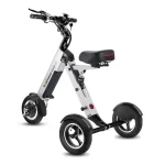 lightweight electric trike