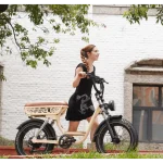 hydraulic brake electric bike