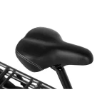 comfortable electric bike