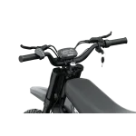 shimano gear electric bike
