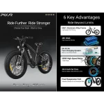 hydraulic disc brake electric bike