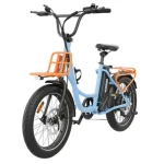 front suspension electric bike