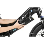 dual battery electric bike