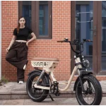 long range electric bike