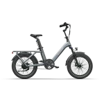 family cargo bike
