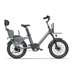 torque sensor bike