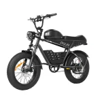 long range electric bike