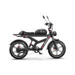 long range electric bike