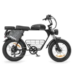 electric bike with dual battery system