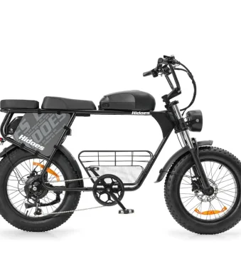 electric bike with dual battery system