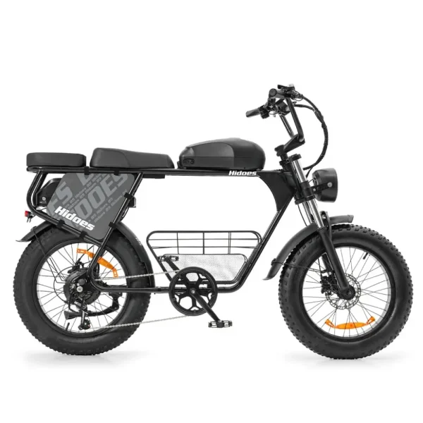 electric bike with dual battery system