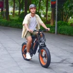 city and off road electric bike