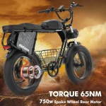 750w electric bike