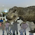 3d animal animation