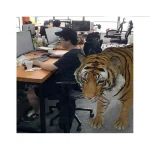 augmented reality wall art