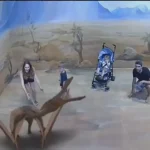 ar zoo wall panel