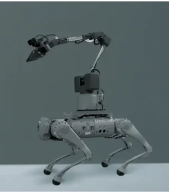 quadruped robot kit